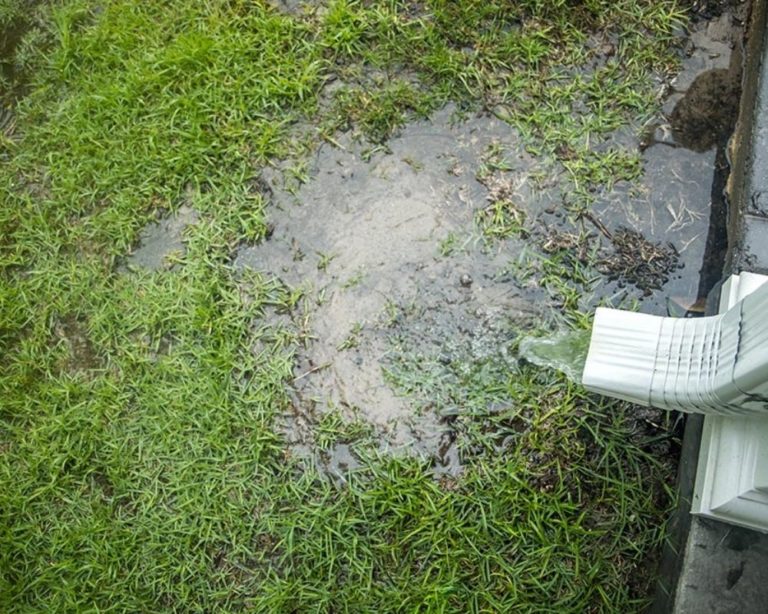 5 Signs Your Kansas City Home is Ready for a New Drainage System