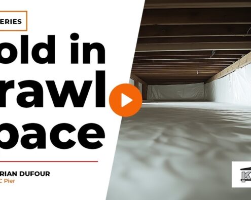 mold in crawl space