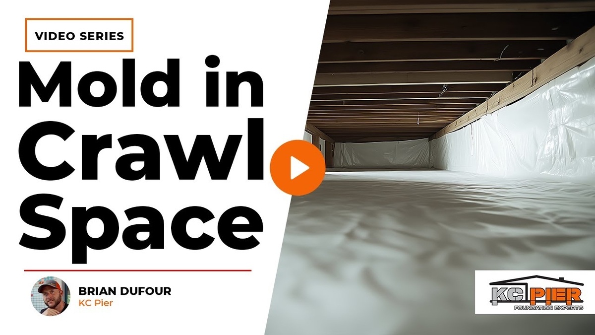 mold in crawl space