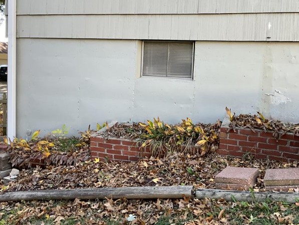 featured-image-1782072012
