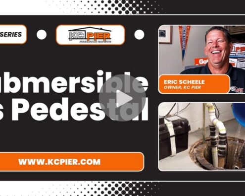 submersible or pedestal sump pump